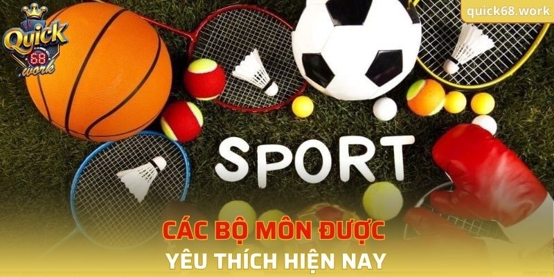 Các bộ môn được yêu thích hiện nay