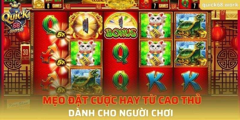 Mẹo đặt cược hay từ cao thủ dành cho người chơi