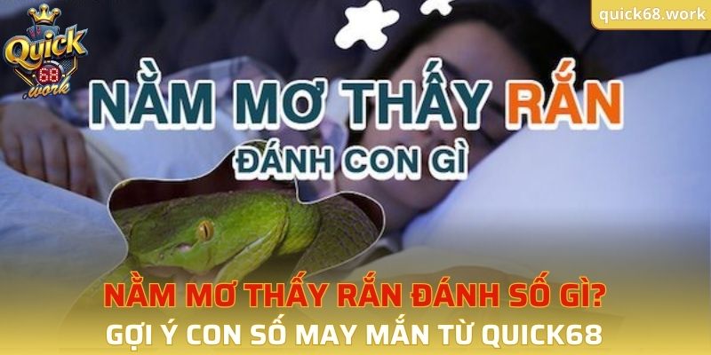 Nằm Mơ Thấy Rắn QUICK68